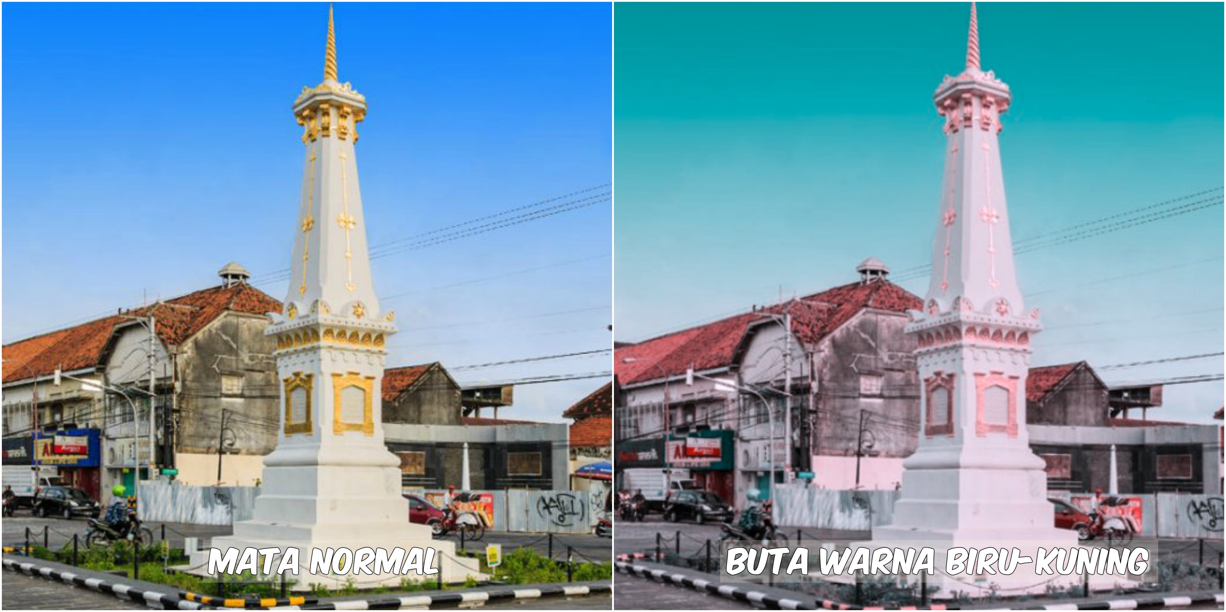 Begini Pemandangan yang Dilihat oleh Penderita Buta Warna. Fotografer Ini Menjelaskannya Lewat Foto