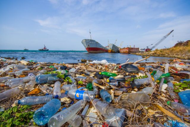 Fenomena Langka yang Luar Biasa, Pantai di AS Ini Menyala Biru Terang. Di Indonesia Juga Pernah Ada