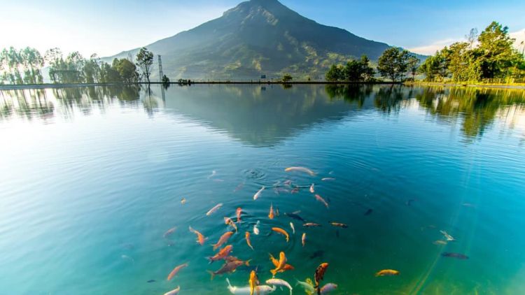 Embung Kledung Temanggung, Panorama Alam Pegunungan yang Bikin Serasa Liburan ke Luar Negeri!