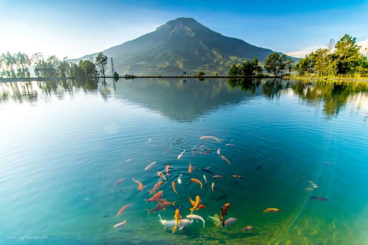 Embung Kledung Temanggung, Panorama Alam Pegunungan yang Bikin Serasa Liburan ke Luar Negeri!