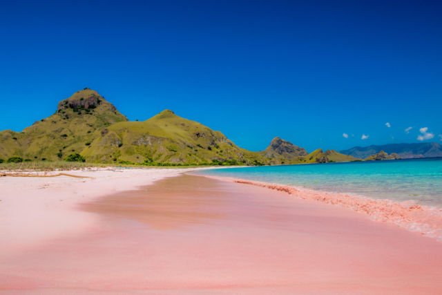 pink beach