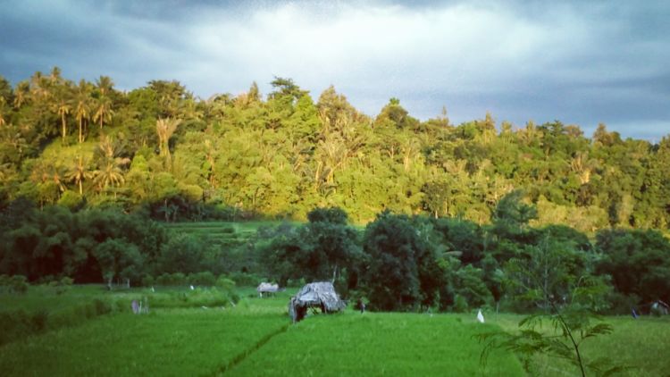 Pelangi, Apakah Pelangi Benar-Benar Sendiri di Dunia Ini?