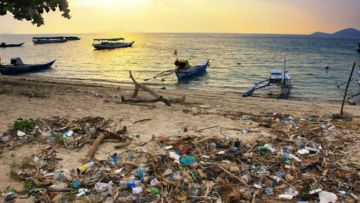 Dampak Turisme Massal di Pulau Komodo: Sampah yang Menumpuk dan Pergaulan Bebas ala Barat!