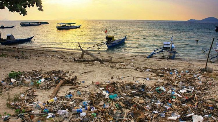 Dampak Turisme Massal di Pulau Komodo: Sampah yang Menumpuk dan Pergaulan Bebas ala Barat!