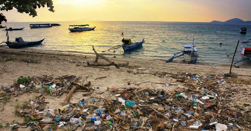 Dampak Turisme Massal di Pulau Komodo: Sampah yang Menumpuk dan Pergaulan Bebas ala Barat!