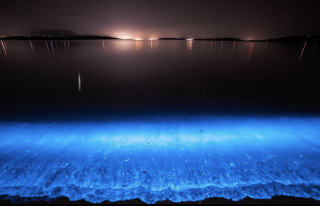 Fenomena Langka yang Luar Biasa, Pantai di AS Ini Menyala Biru Terang. Di Indonesia Juga Pernah Ada