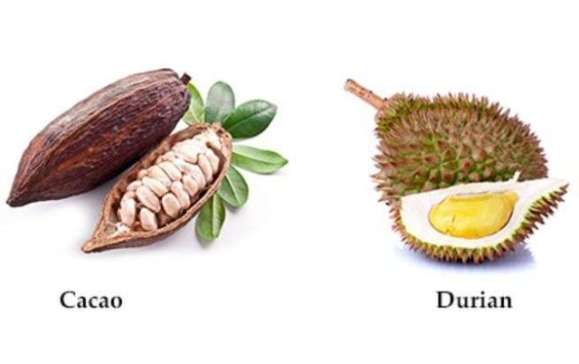 Ratusan Orang di Australia Dievakuasi Cuma Gara-gara Bau Durian! Udah Kayak Mau Ada Bom Aja Lho...