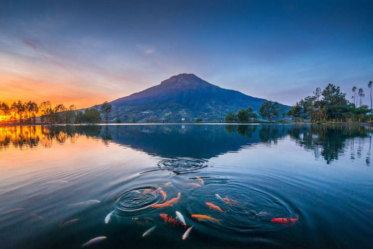 Embung Kledung Temanggung, Panorama Alam Pegunungan yang Bikin Serasa Liburan ke Luar Negeri!