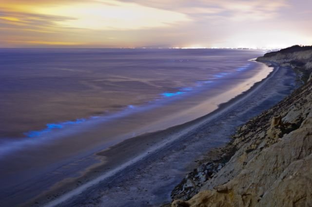 Fenomena Langka yang Luar Biasa, Pantai di AS Ini Menyala Biru Terang. Di Indonesia Juga Pernah Ada