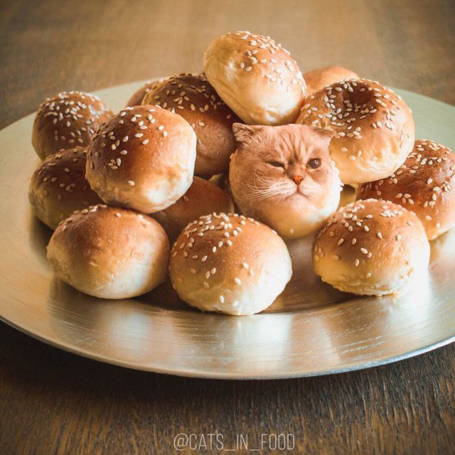 Coba Perhatikan Baik-Baik 11 Foto Makanan ini. Ada yang Janggal Tapi Menggemaskan Nggak sih?