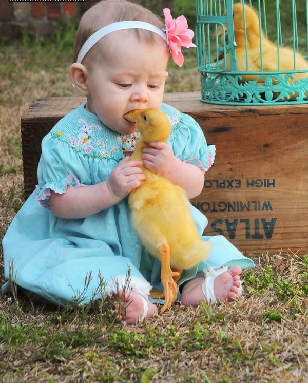 20+ Potret Kedekatan Bayi dengan Hewan Peliharaan. Inikah yang Dinamakan Cuteness Overload?