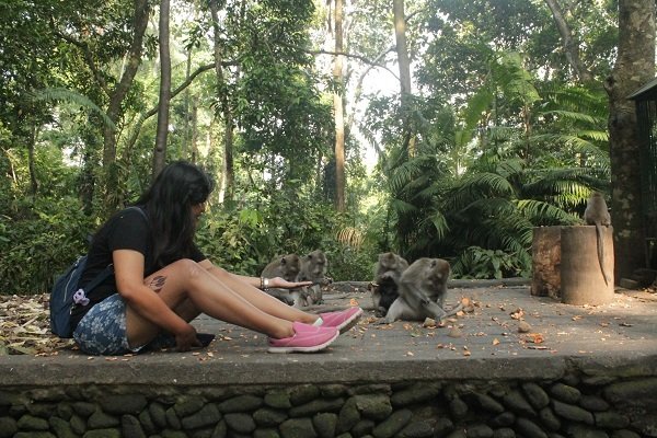 Monkey Forest, Ubud Bali