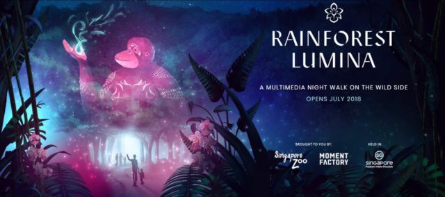 Yang Baru di Singapore Zoo: 'Rainforest Lumina', Program Jalan-Jalan Penuh Pesona di Malam Hari