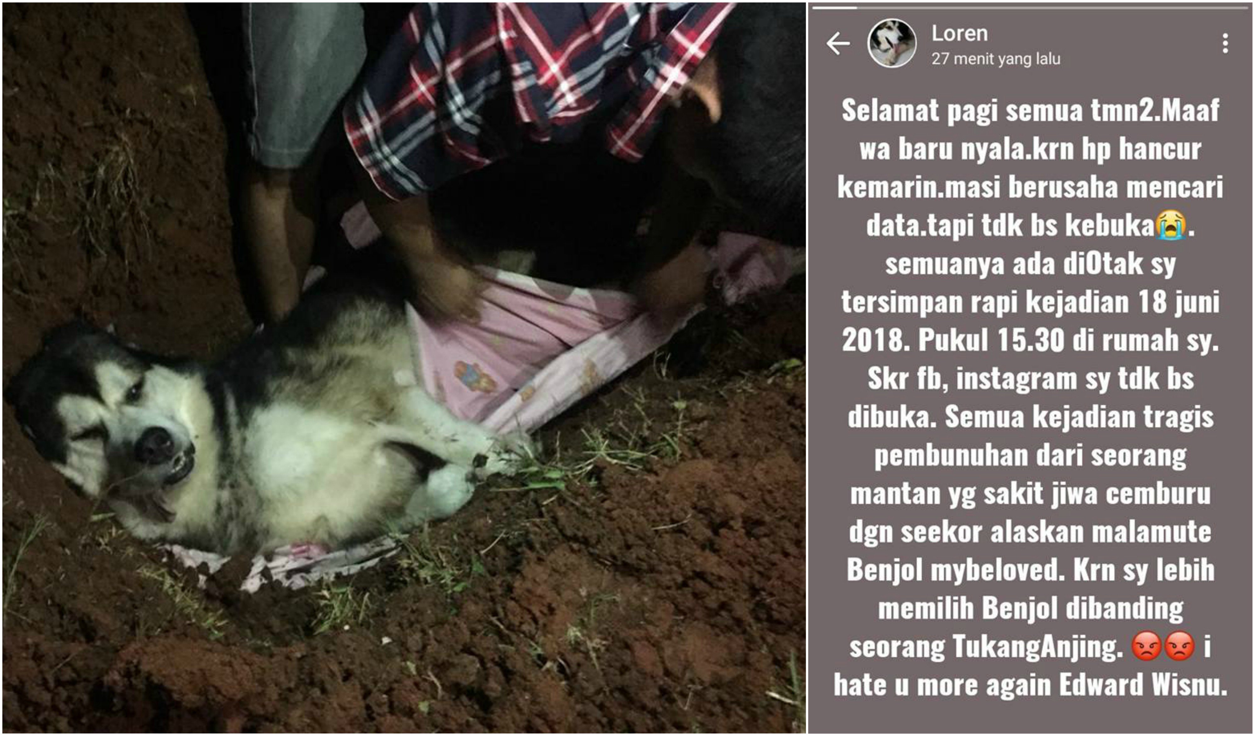 Cemburu Macam Apa yang Sampai Tega Membunuh Seekor Anjing? Cinta Nggak Sebuta itu, Sayang!