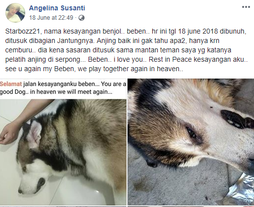 Cemburu Macam Apa yang Sampai Tega Membunuh Seekor Anjing? Cinta Nggak Sebuta itu, Sayang!