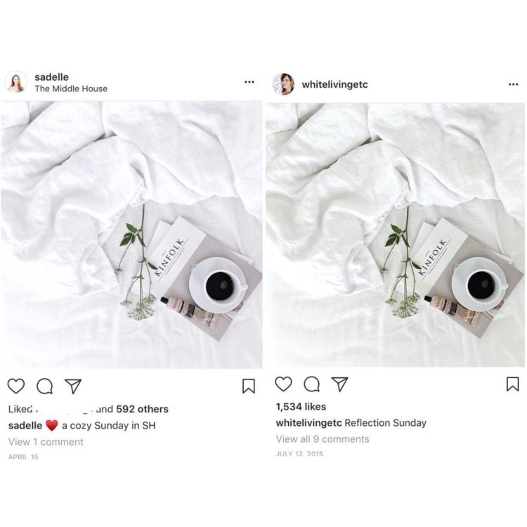 Selebgram Ini Menghapus Foto-foto yang Ternyata Hasil Plagiat. Waduh, Banyak Banget yang Dicomot!