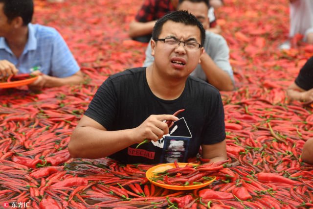 8 Potret Keseruan Lomba Makan Cabai di Cina. Sampai Pakai Berendam di Lautan Cabai Segala