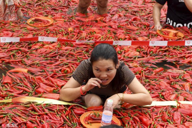 8 Potret Keseruan Lomba Makan Cabai di Cina. Sampai Pakai Berendam di Lautan Cabai Segala