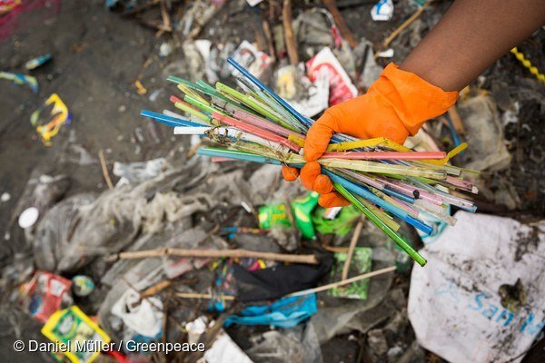 Hidup Tanpa Plastik? Sebenarnya Bisa Banget Lho! Lihat Aja 6 Tempat di Mana Plastik Sudah Dilarang