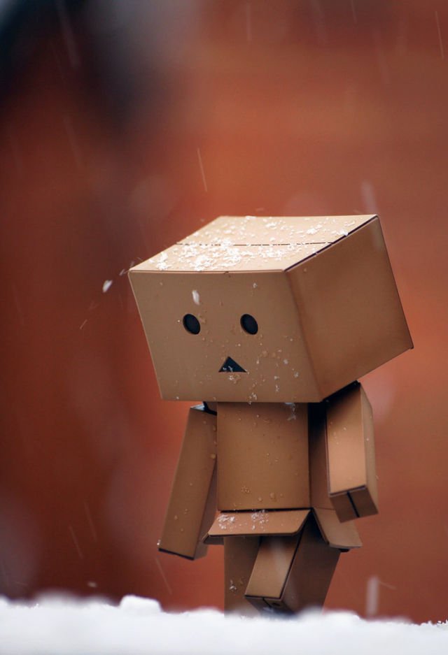 danbo feels guilty