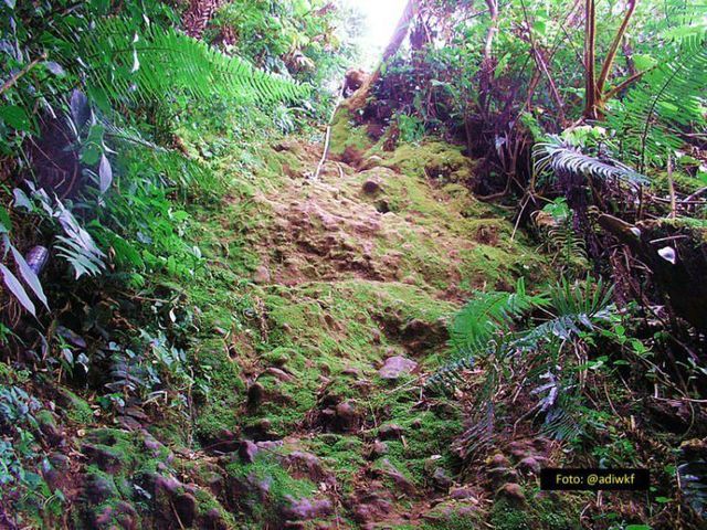 Gunung Salak Sukabumi