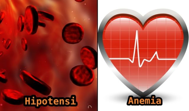 5 Perbedaan Mendasar Darah Rendah dan Kurang Darah. Cara Mengobatinya Juga Beda Lho!