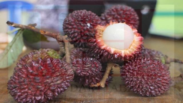 Sekilas mirip rambutan, tapi ternyata namanya buah Maritam