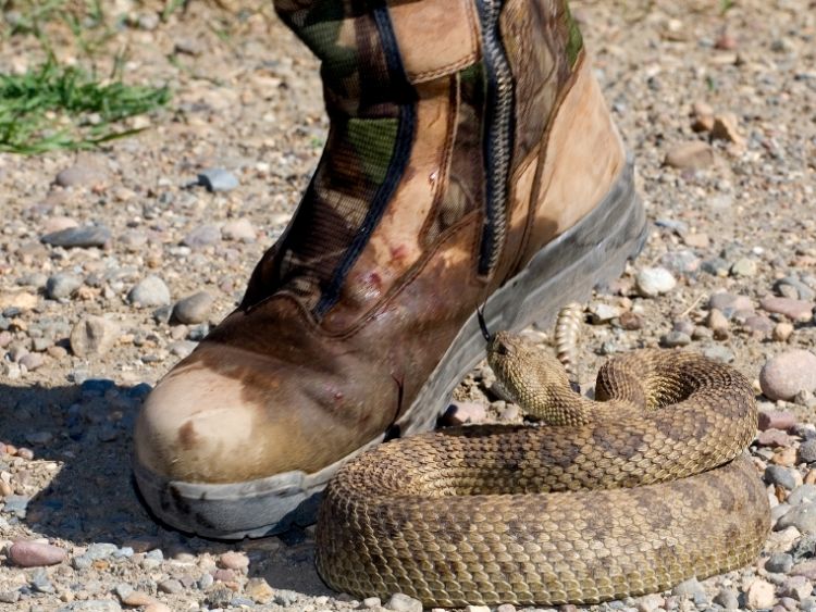 9 Mitos Survival Terkenal yang Sebenarnya Salah. Jika Dilakukan, Nyawamu Malah Bisa Lebih Terancam