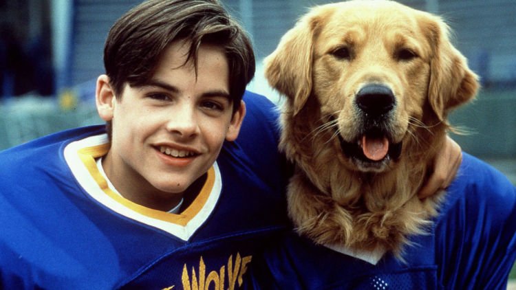 Pemeran Film Air Bud Lagi Anniversary ke-150, Saatnya Kamu Tahu Kapan 12 Ras Anjing Ini Mulai Ada