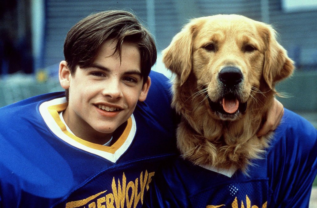 Pemeran Film Air Bud Lagi Anniversary ke-150, Saatnya Kamu Tahu Kapan 12 Ras Anjing Ini Mulai Ada