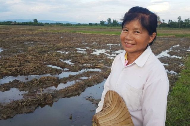 Salah satu petani Thailand