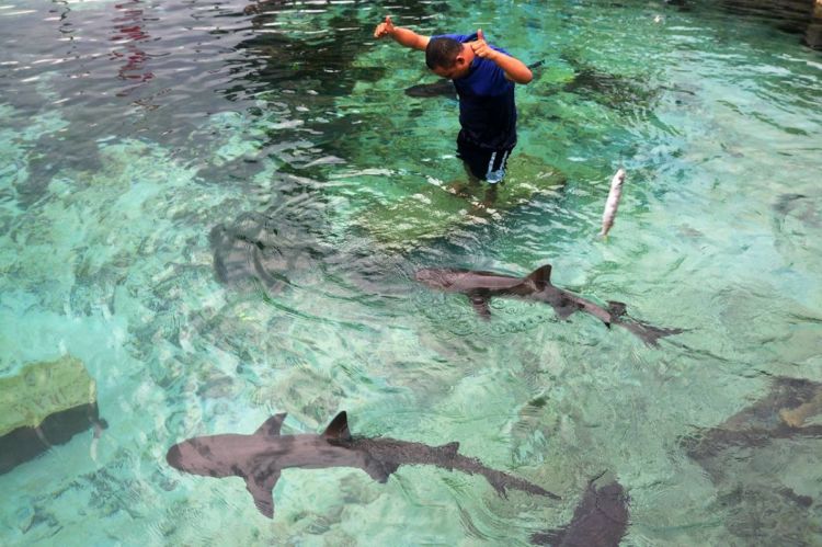 Panduan Liburan ke Karimunjawa, Surga yang Tertinggal di Pulau Jawa. Kapan Kamu ke Sana?