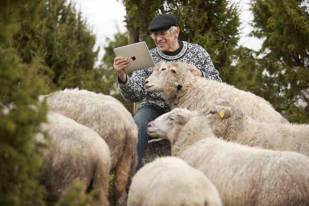 10 Potret Perjalanan Estonia Jadi Negara Paling Digital & Modern Sedunia. Banyak yang Nggak Tahu Sih