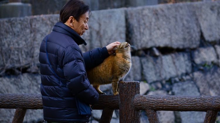 Karakter Orang Jepang yang Bikin Negaranya Maju