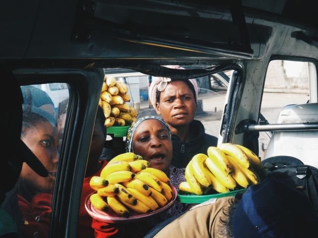 Pisang Bisa Hilang Selamanya dari Dunia. Menurut Ahli, Buah Ini Sedang Terancam Penyakit Panama