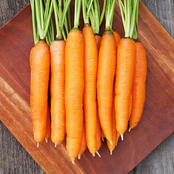 organic carrot