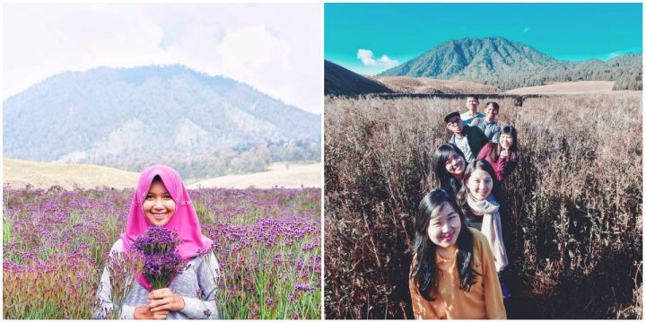 Instagramable dan Patut Dilestarikan, Inilah 7 Padang Savana yang Masih Alami di Indonesia!