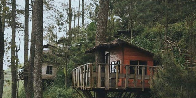 Rumah Pohon ala Omah Kayu