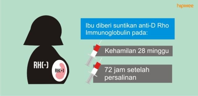 10 Fakta Pentingnya Tahu Tipe Rhesus Darah Kalian, Bukan Cuma Golongan Darah ABO Doang