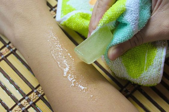 Aloe Vera Disebut-sebut Ampuh Atasi Sunburn. Fakta atau Hanya Sebatas Sugesti Saja?