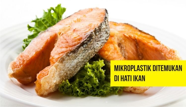 9 Makanan & Minuman yang Mulai Terserang Mikroplastik. Bisa Jadi Kita Makan Plastik Tiap Harinya Lho