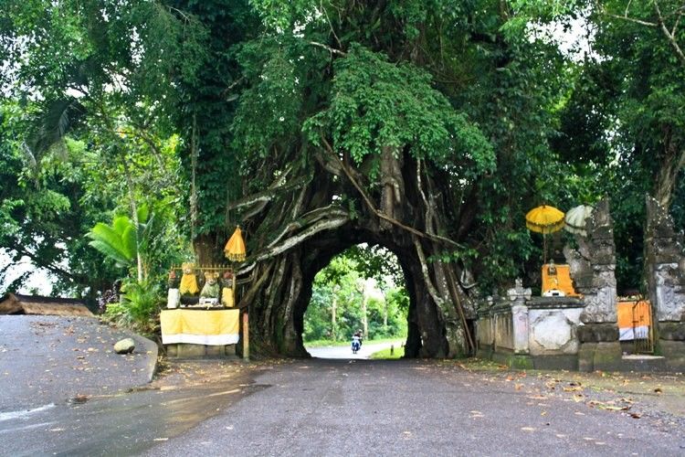 7 Destinasi Horor dan Misterius di Bali yang Perlu Kamu Kunjungi. Bali Nggak Cuma Party!