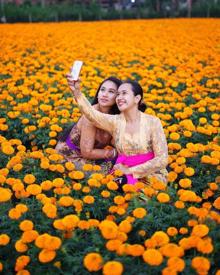 Gemitir Garden, Taman Bunga Marigold yang Instagramable di Bali. Jadi Pengen ke Bali Lagi Nih!