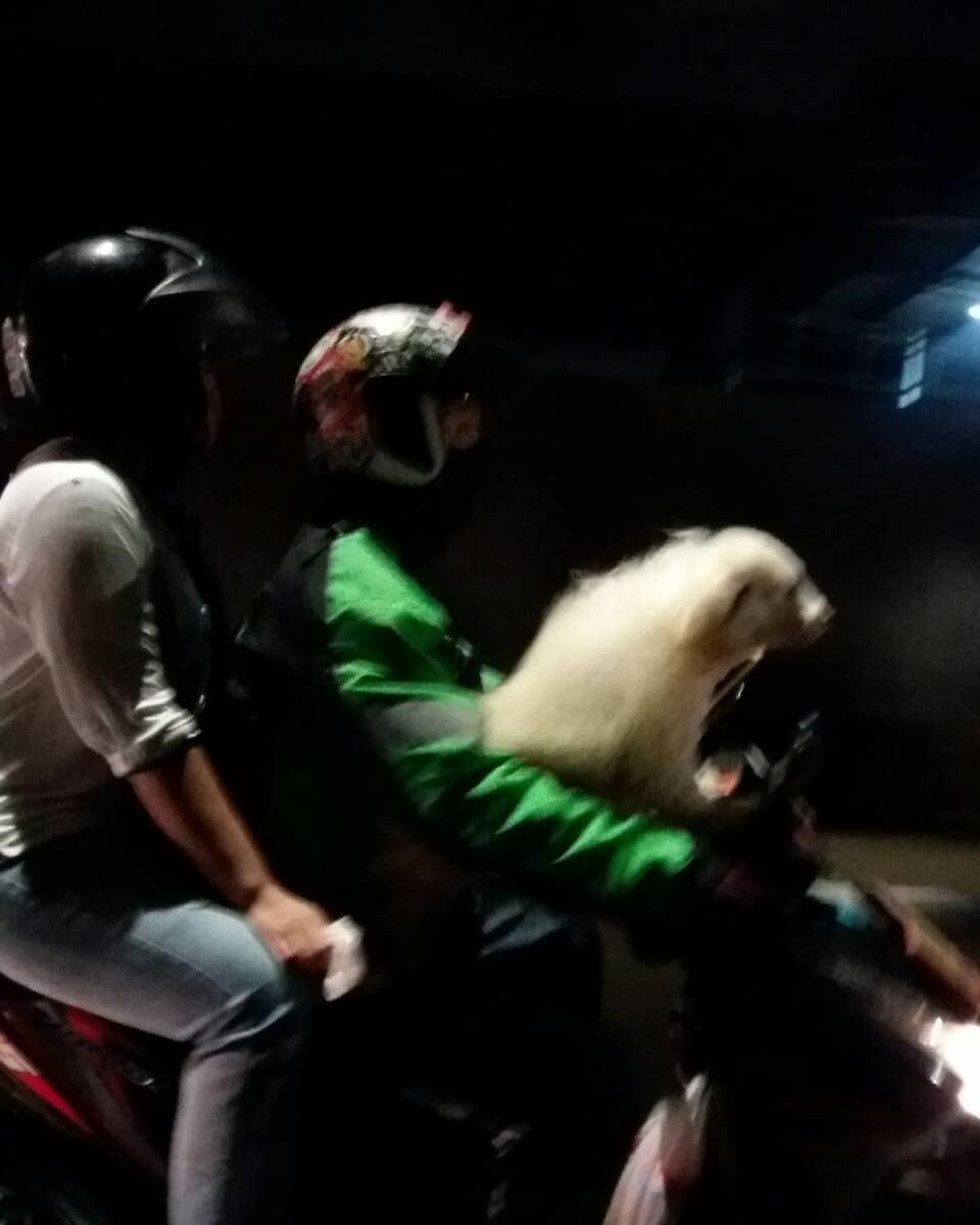 15 Momen Berat Abang Ojol Saat Antar Pesanan Nggak Logis. Dari Kasur Sampai Kulkas, Dibawa Pake Motor!