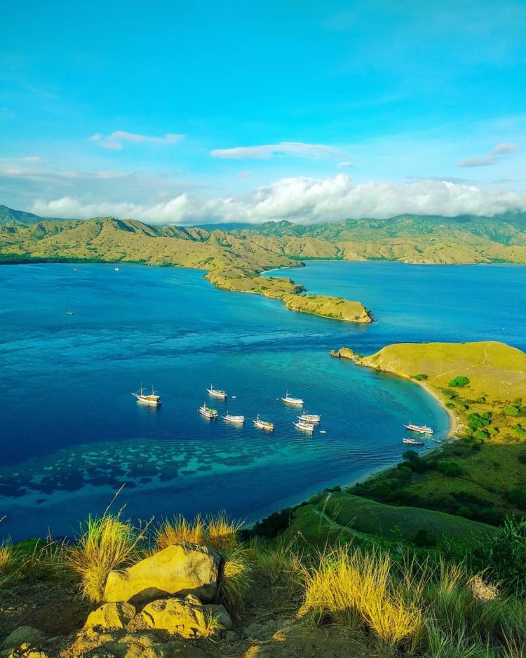 Tragis, Gili Lawa di TN Komodo Hangus Terbakar. Pulau Indah Nan Hijau Berubah Jadi Hitam!