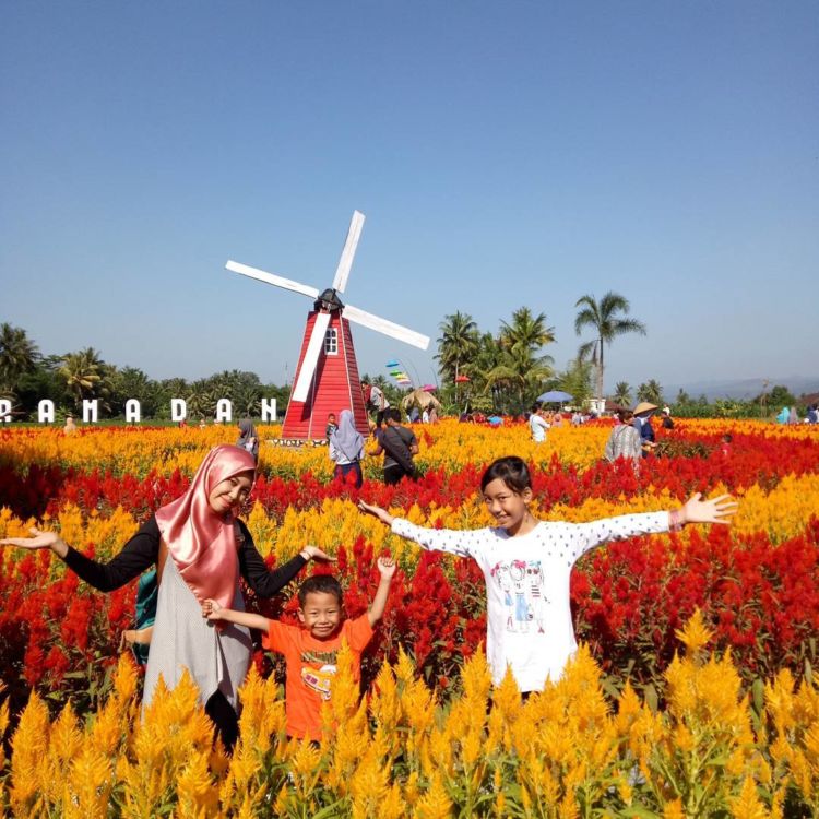 Taman Ramadanu Magelang, Destinasi Wisata Bunga Kekinian yang Bikin Enggan Pulang