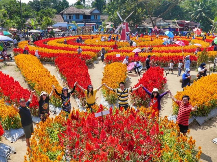 Taman Ramadanu Magelang, Destinasi Wisata Bunga Kekinian yang Bikin Enggan Pulang