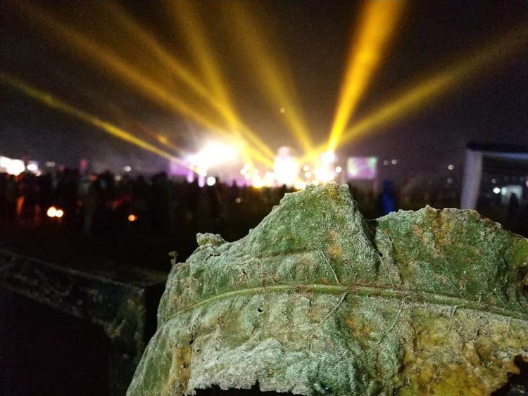 Potret Dinginnya Dieng Saat Event Dieng Culture Festival 2018. Brrr, Dieng Membeku Saat Itu!