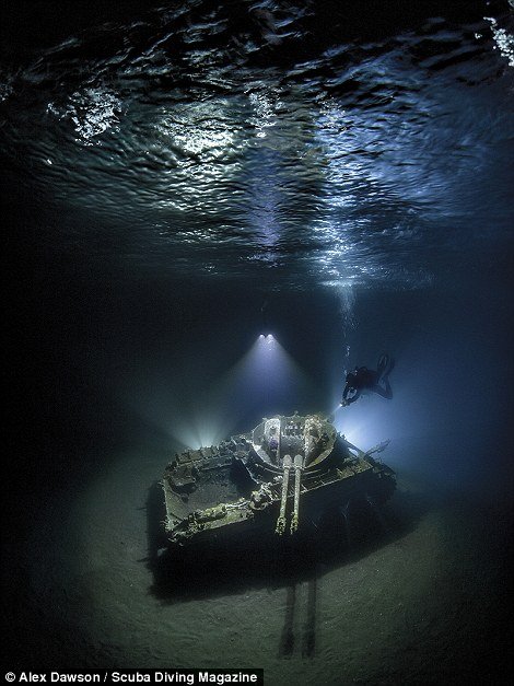 13 Foto Pemenang Underwater Photo Contest Ini Sungguh Luar Biasa dan Bikin Berdecak Kagum!