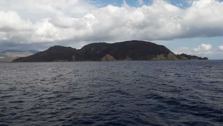 Tragis, Gili Lawa di TN Komodo Hangus Terbakar. Pulau Indah Nan Hijau Berubah Jadi Hitam!